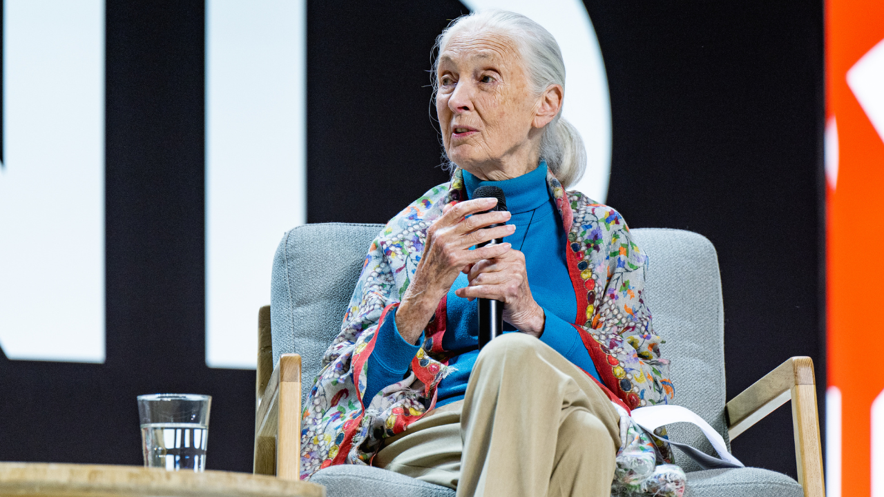 Dr. Jane Goodall: Rebuilding Our Collective Future